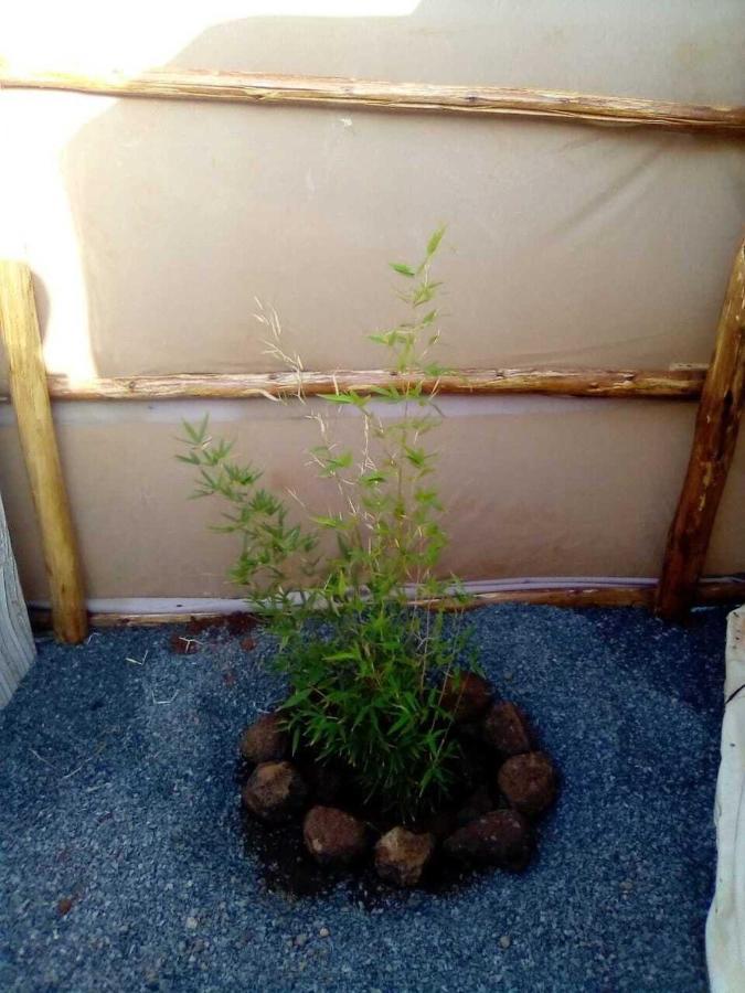 Amanya 1-Bed Leopard Tent Amboseli Eksteriør bilde